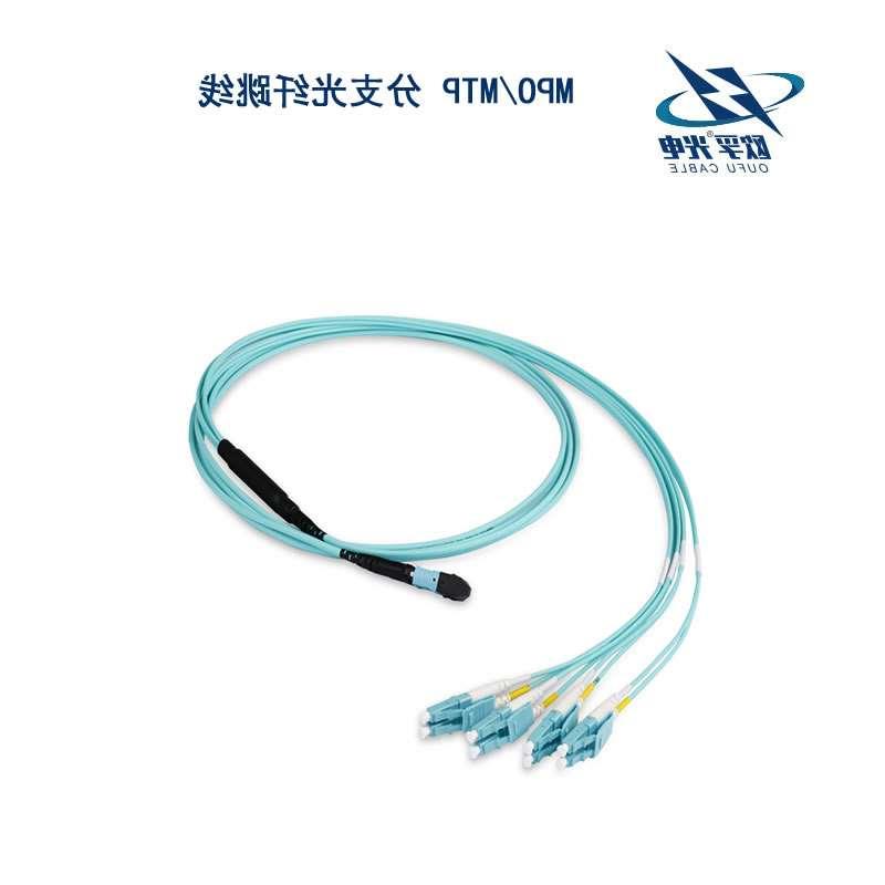 上海MPO/MTP 分支光纤跳线
